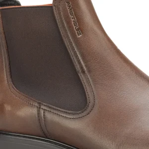 Ambitious Boots | Casual*Pinka Chelsea Boot 12262 -BROWN