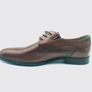 Dubarry Wide Fit | Casual*Dell Extra Fit -CHESTNUT