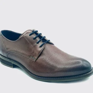 Dubarry Casual | Formal*Duke-BROWN