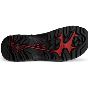 ECCO Walking | Waterproof Shoes & Boots*822434 Offroad Waterproof-MOCHA