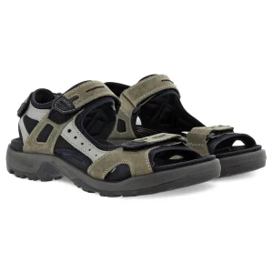ECCO Walking | Sandals*Offroad Sandal 69564 -Vetiver/Wild Dove