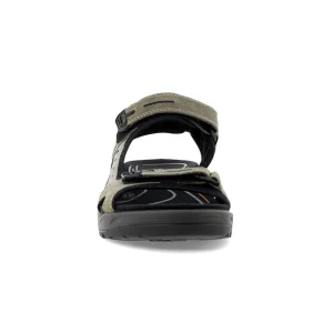 ECCO Walking | Sandals*Offroad Sandal 69564 -Vetiver/Wild Dove