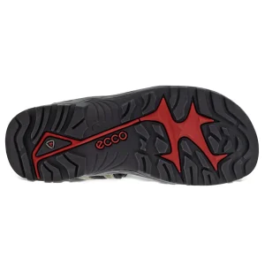 ECCO Walking | Sandals*Offroad Sandal 69564 -Vetiver/Wild Dove