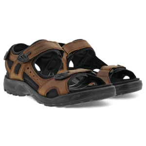 ECCO Walking | Sandals*Offroad Sandal 822184-BROWN
