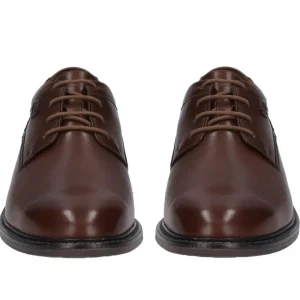 JOSEF SEIBEL Casual | Formal*EARL 05 Lace up-COGNAC