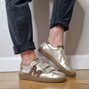Marco Moreo Casual Shoes | Trainers*M661 Mariah Velcro-GOLD