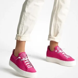 Paul Green Casual Shoes | Trainers*5017-PINK