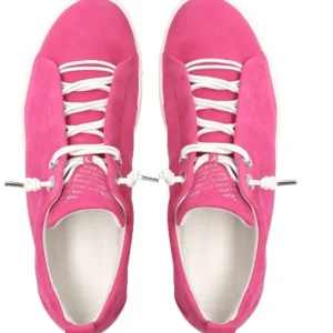 Paul Green Casual Shoes | Trainers*5017-PINK