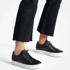 Paul Green Casual Shoes | Trainers*Sneakers 4081-BLACK